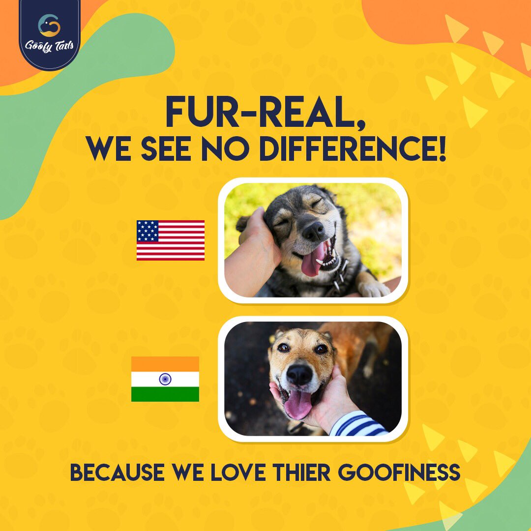 goofytails's tweet photo. The other side of #USvsIndia 🐾❤️🐾

#usvsindia #usvsindiameme #dogmemes #dogmemesdaily #indianmemes #flagtrend  #petsarefamily #furryfriends #furrymemes #goofytails https://t.co/SQYGPZYItD