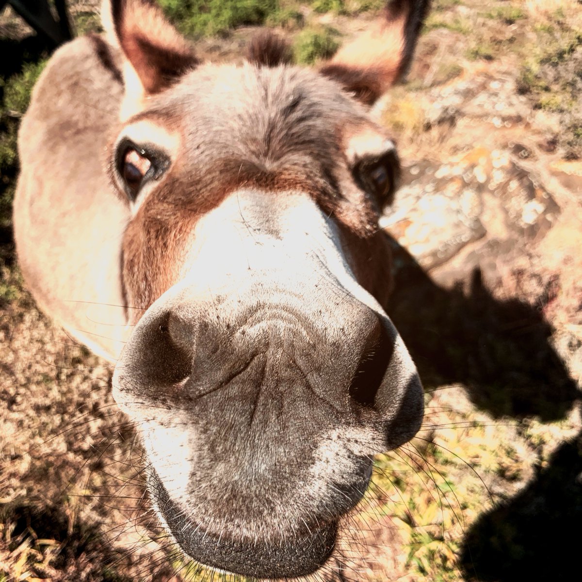 KemoSabe1990's tweet photo. Middle of the week vibes...

#humpday https://t.co/78nIpOlwwb