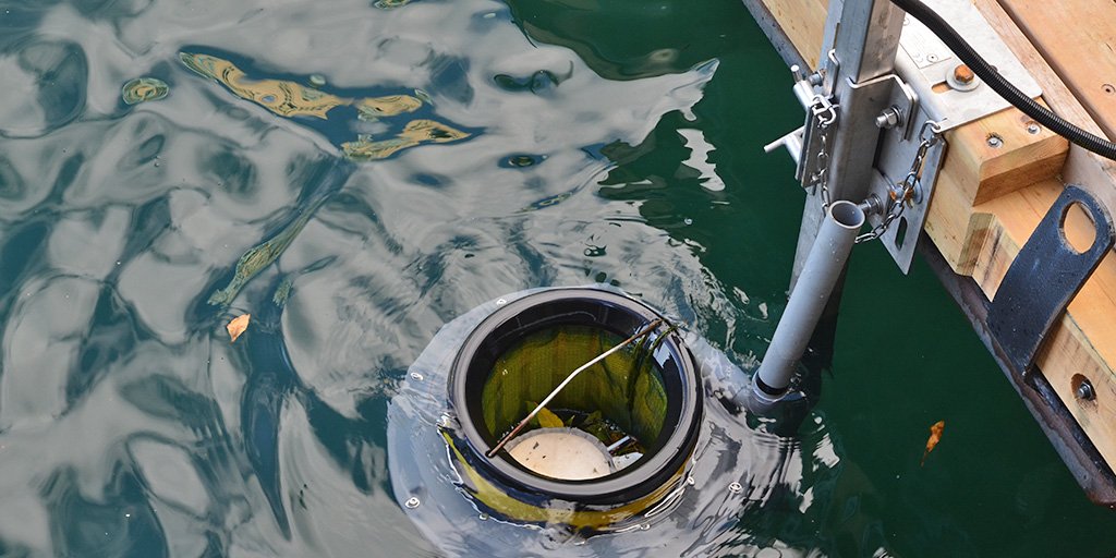 bullfrogpower's tweet photo. Way to go @PortsToronto on diverting nearly 85,000 pieces of plastic debris from Toronto’s harbour during the 2020 season! ⛵💚 Learn more about their Seabins here: https://t.co/v4t483gABm https://t.co/o3JsXTzZq8