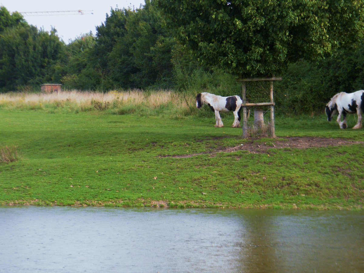 The site of the brickworks where Rupert worked still exist; that field to the bottom and left of the photograph above is still a popular walking route. I walked it several times during the summer lockdown; next time I walk it, I will be able to remember Rupert and his family.