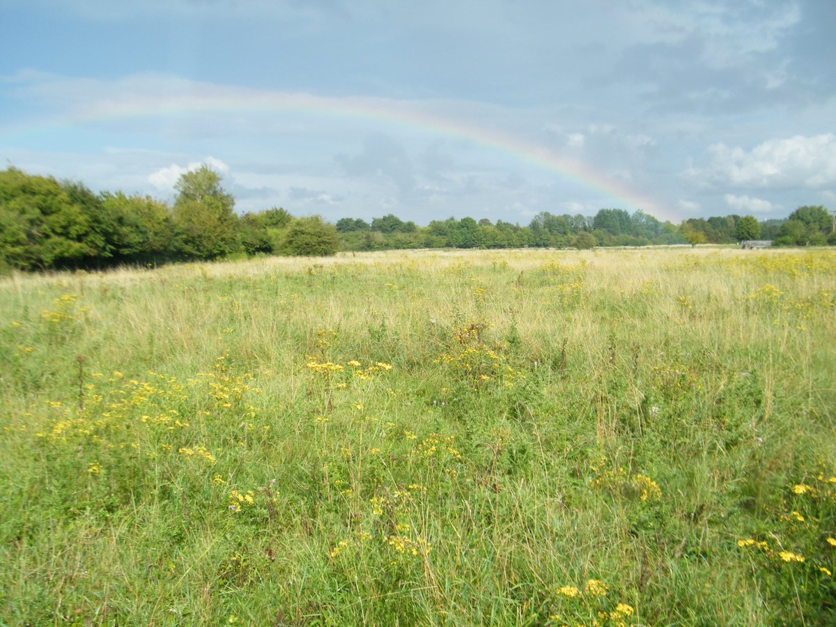 The site of the brickworks where Rupert worked still exist; that field to the bottom and left of the photograph above is still a popular walking route. I walked it several times during the summer lockdown; next time I walk it, I will be able to remember Rupert and his family.