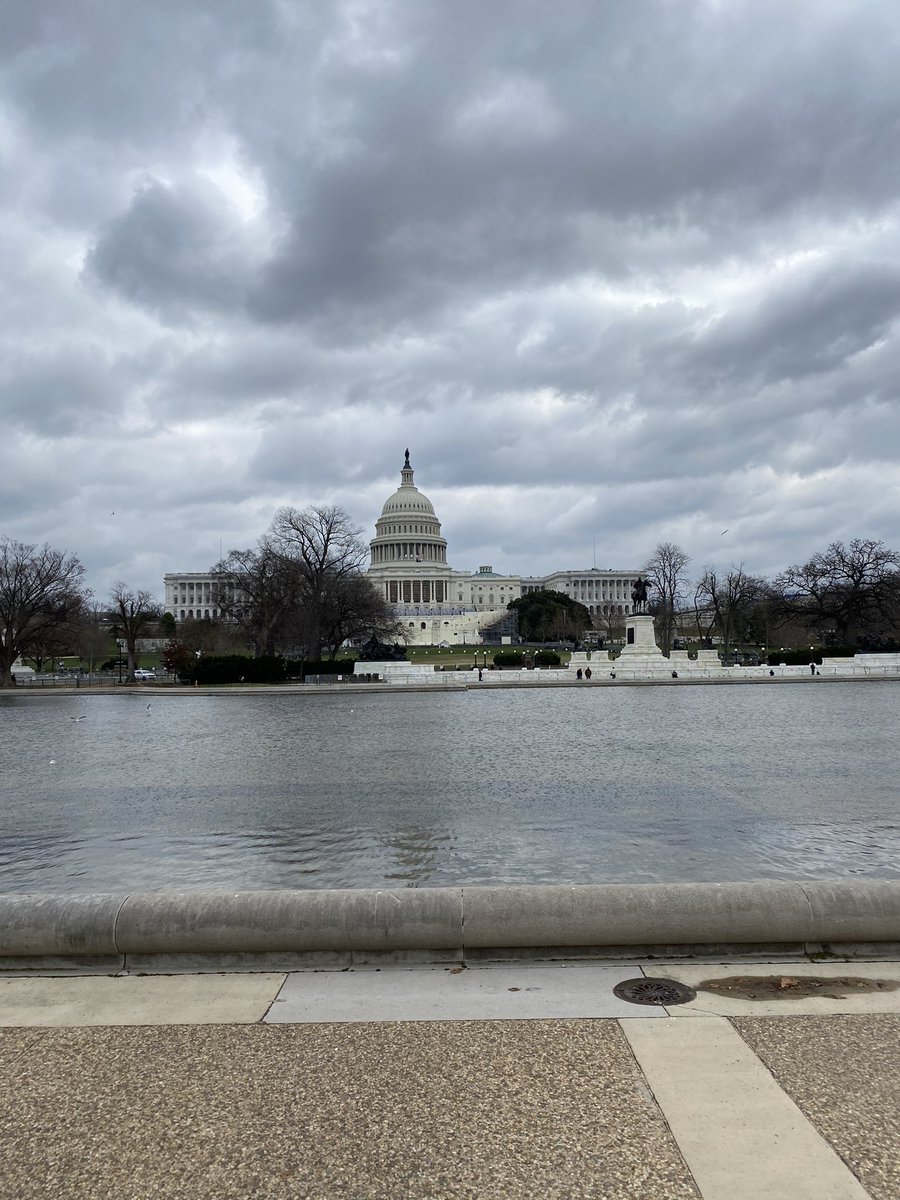Capitol Grounds are empty now, but the MAGA march will soon head here and flood the area.