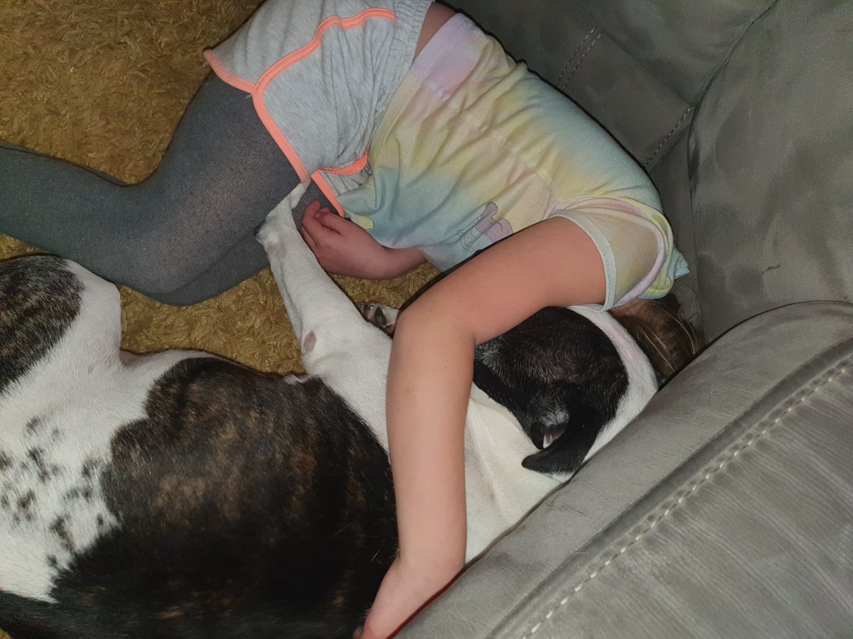 Laura28588735's tweet photo. @ColeridgeSchool What a hard days home learning! Had to have a snooze with Dave the dog! #bestfriends #agirlandherdog https://t.co/FT2UjsEYKZ