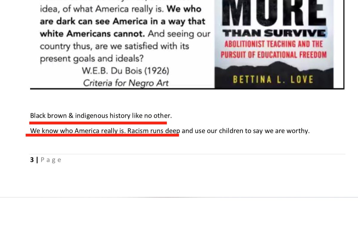 According to the whistleblower notes, Love began by saying that "racism runs deep" in America and that blacks alone "know who America really is." Love claimed that public schools "don't see [blacks] as human," perpetuate “anti-Blackness,” and "spirit murder babies."