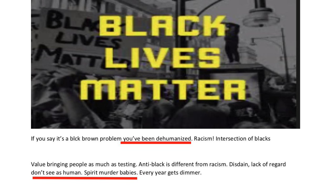 According to the whistleblower notes, Love began by saying that "racism runs deep" in America and that blacks alone "know who America really is." Love claimed that public schools "don't see [blacks] as human," perpetuate “anti-Blackness,” and "spirit murder babies."