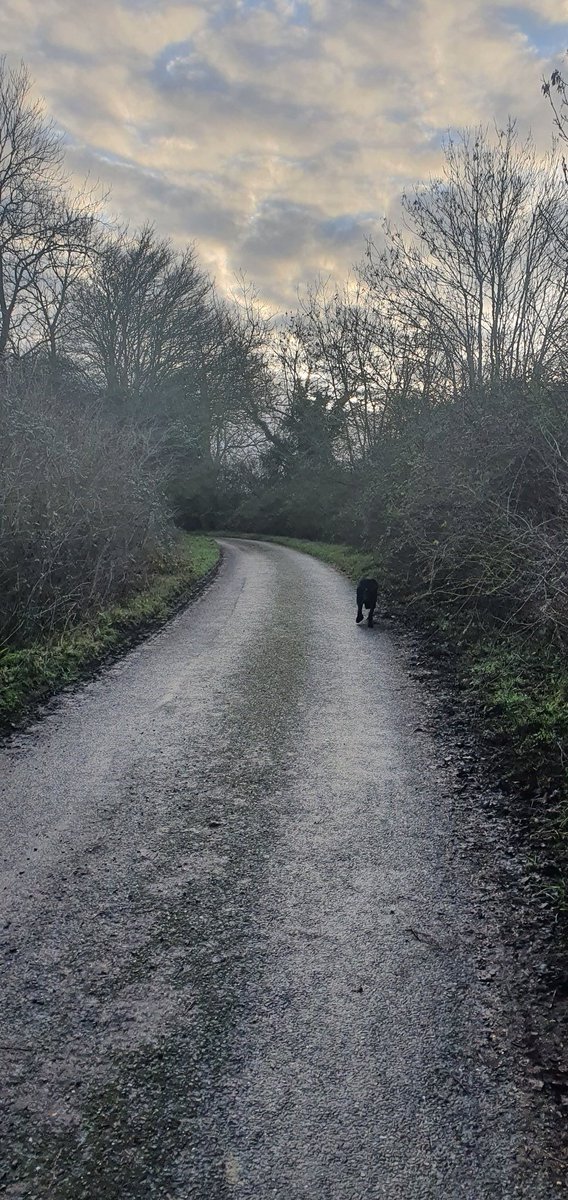 oakesbarn's tweet photo. More miles walked in aid of @stnichhospice Today we ventured to #chevington #chedburgh and The Greyhound, usually known for their exceptional curries @wscBeer ๐ฅ๐ป๐ป #1000mileschallenge #walk #run #pubs https://t.co/f58CKhYhYB