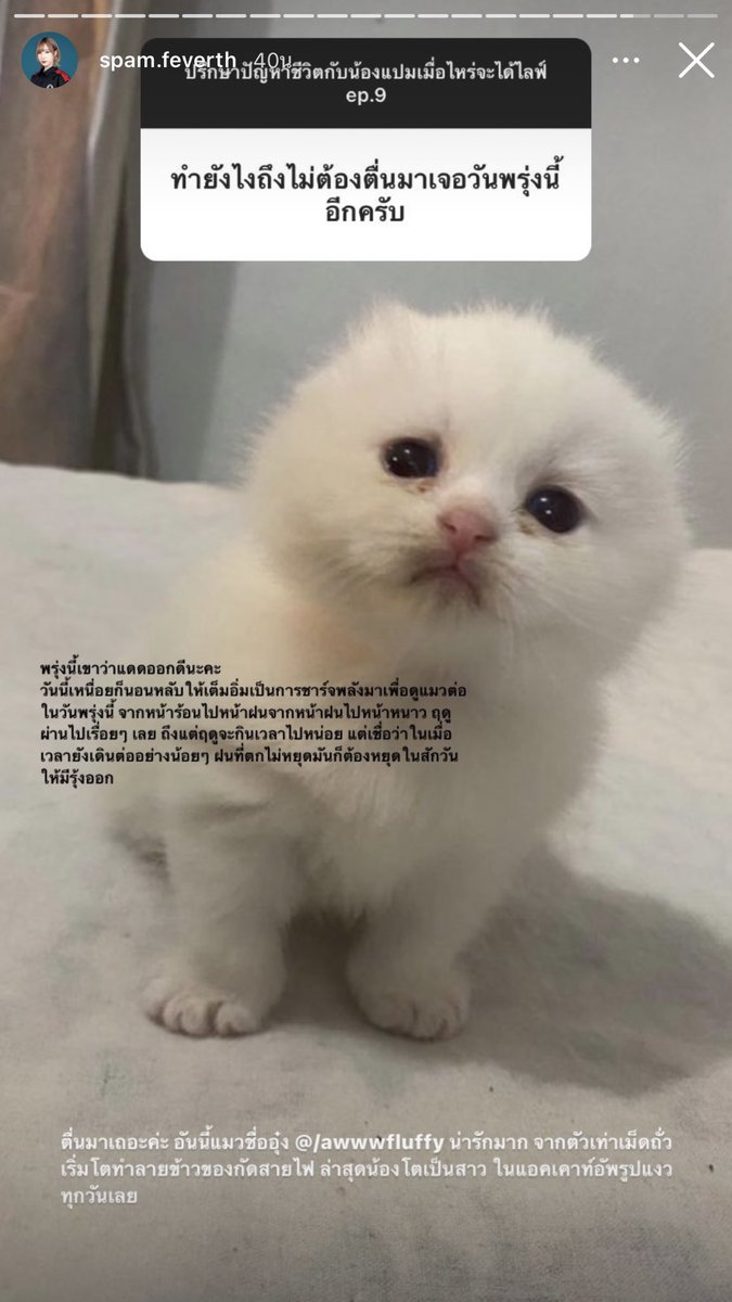อ่านสตอรี่นี้แล้วร้องไห้เลย ช่วงนี้ร้องไห้ง่าย เส้นสิทีฟ