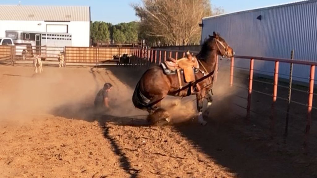 carly christian tweet media