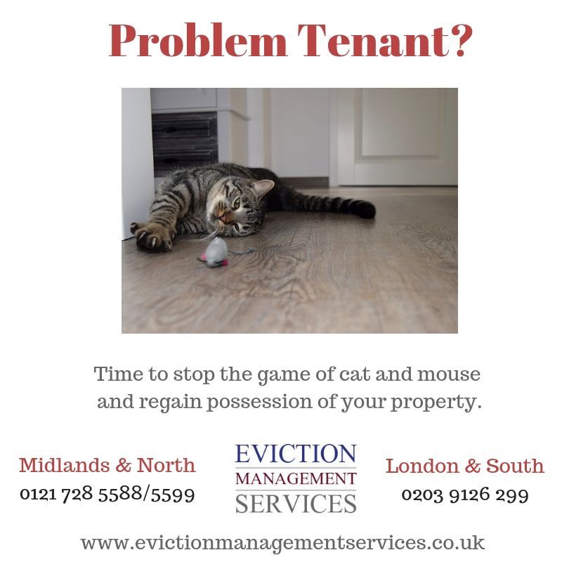 EvictionHelper's tweet image. #problemtenant #tenanteviction #evictatenant #evictionservice
