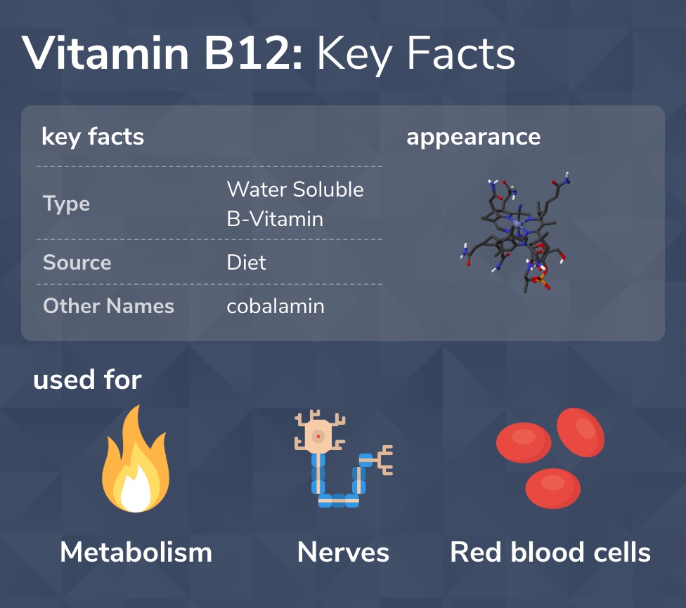 ClearvueHealth's tweet image. Vitamin B12: What You Need to Know
Full article➡️clearvuehealth.com/d/vitaminb12-f…
#vitaminB #vitaminB12 #nutrition #healthy