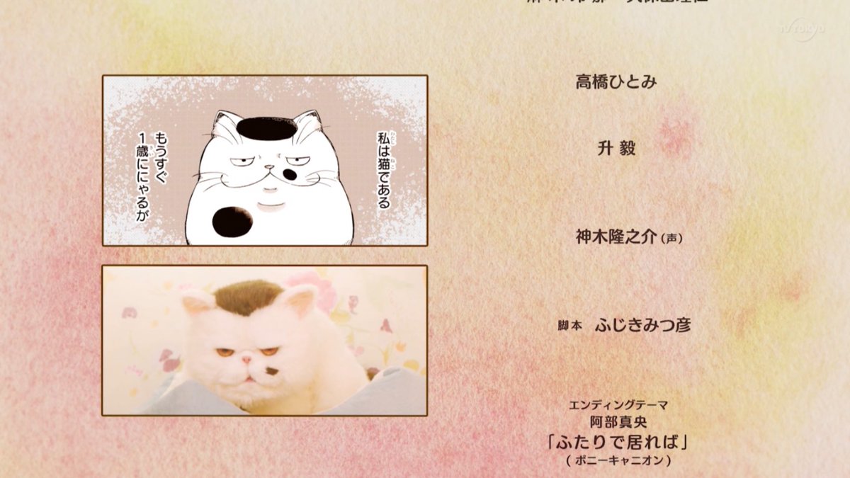 神木隆之介 X おじさまと猫 Twitterで話題の有名人 リアルタイム更新中 神木隆之介 X おじさまと猫 Twitterで話題の有名人 リアルタイム更新中