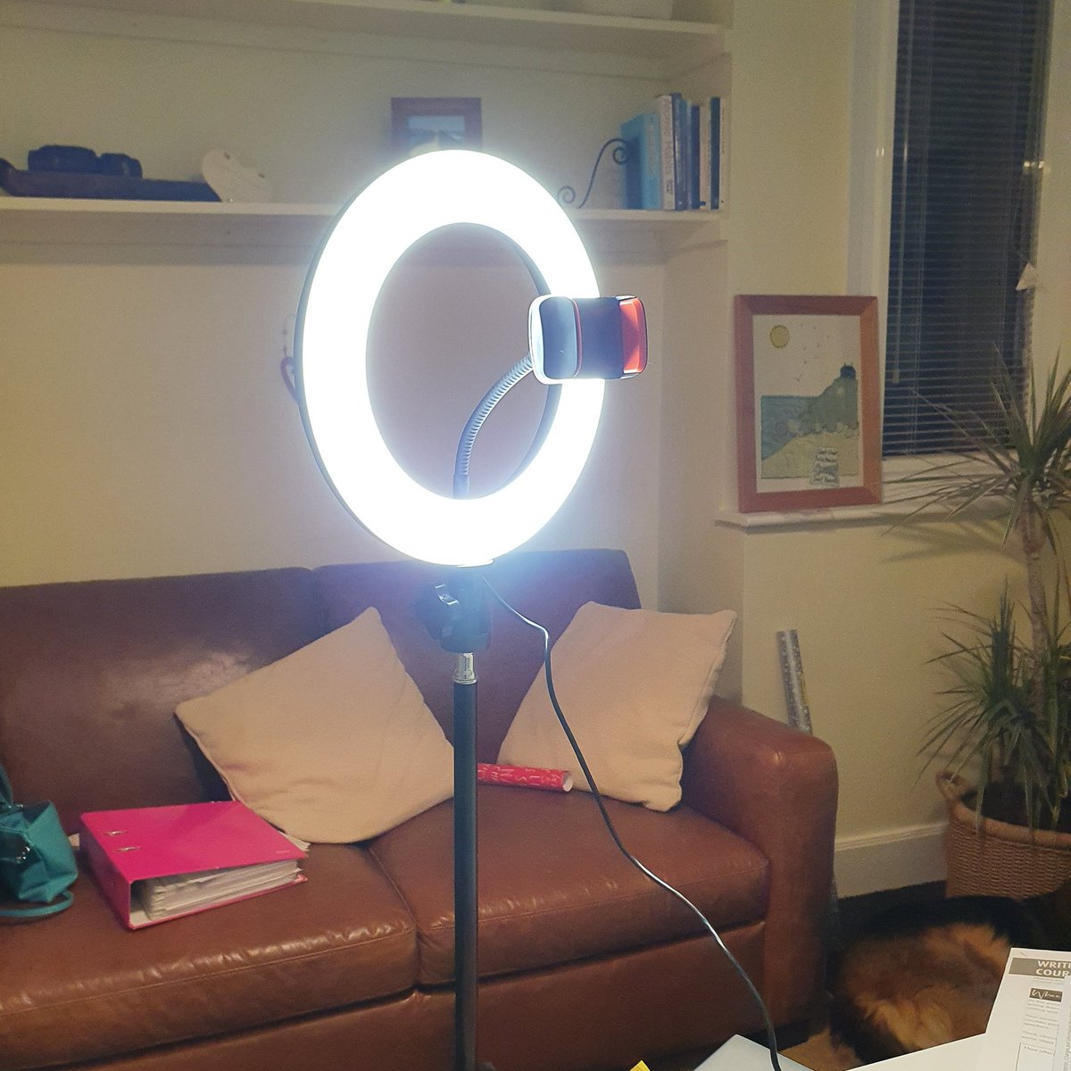 bebrighterlife's tweet photo. So happy with my fancy new light!! I won't look so ill doing evening zoom sessions now!!! #zoomlife #zoomlighting #onlinetherapist #lettherebelight #hypnotherap #anxietysupport #anxietytips #weightloss #weightlosstips #mindsetmatters #healthymind #teignmouth #southdevon https://t.co/DYfXP7QtPJ