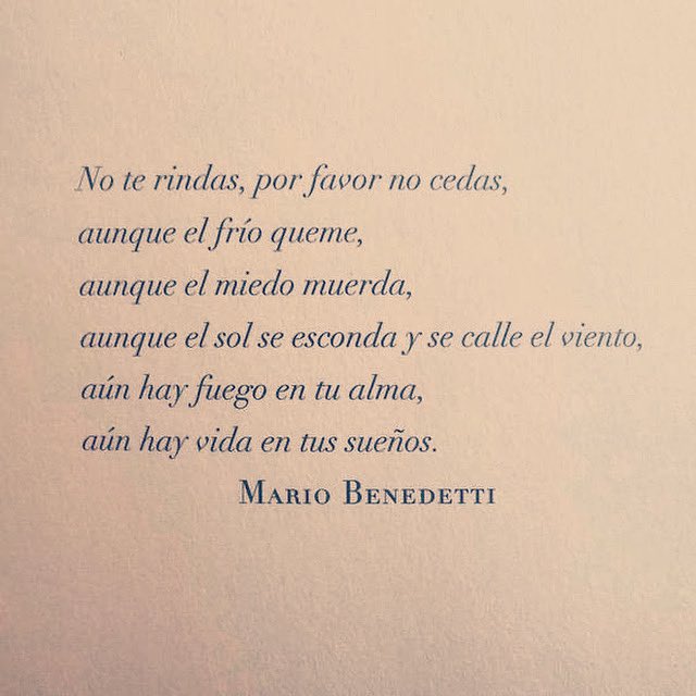 Cementerio De Libros tweet media