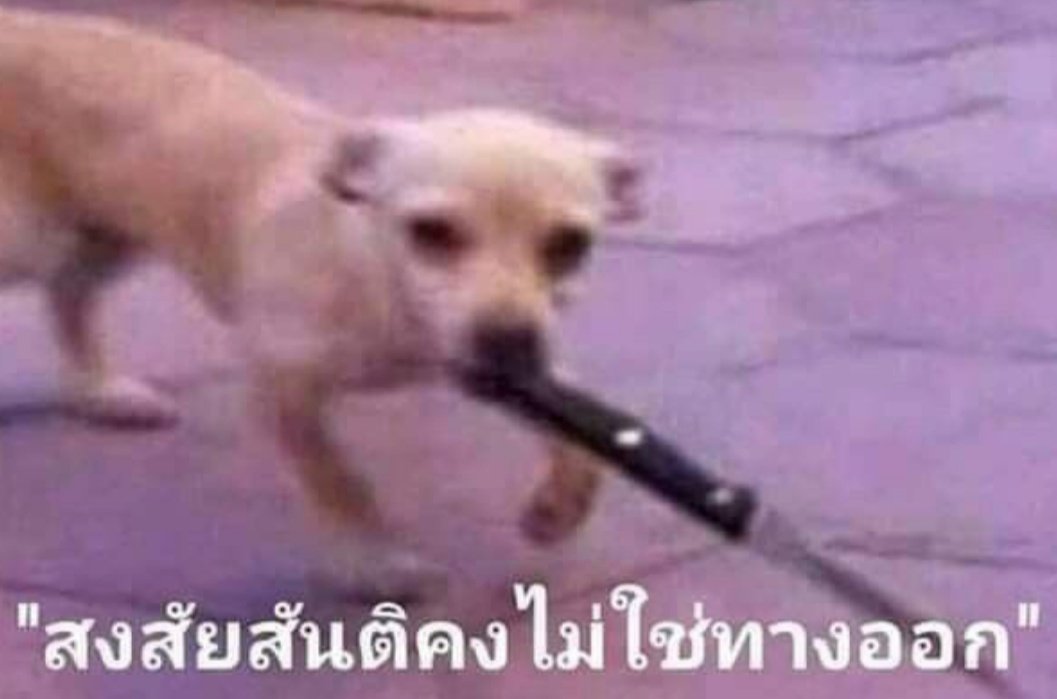 พี่คิดแป๊บ 🌷 close tweet media