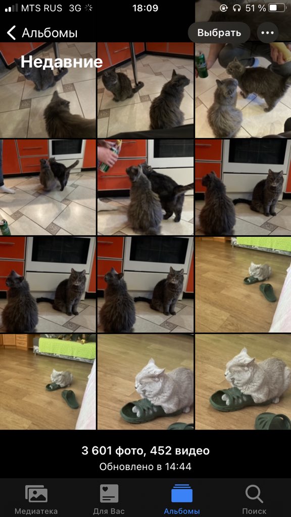 crypto_assfaces's tweet photo. За последнюю неделю только котики https://t.co/k1G5p9HBVl