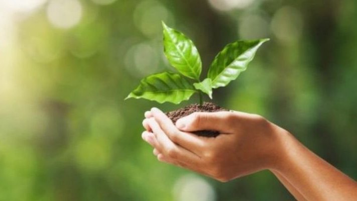 Nuove specie vegetali🌱create con nuove tecnologie possono controbilanciare il cambiamento climatico? 
#LorenzoGenesio e #FrancoMiglietta ricercatori di #BioEconomia #CNR e #RobertoBassi, docente di Biotecnologie <a href="/UniVerona/">Università di Verona</a> sulla rivista <a href="/GlobalChangeBio/">Global Change Biology</a> ci spiegano come ⬇️