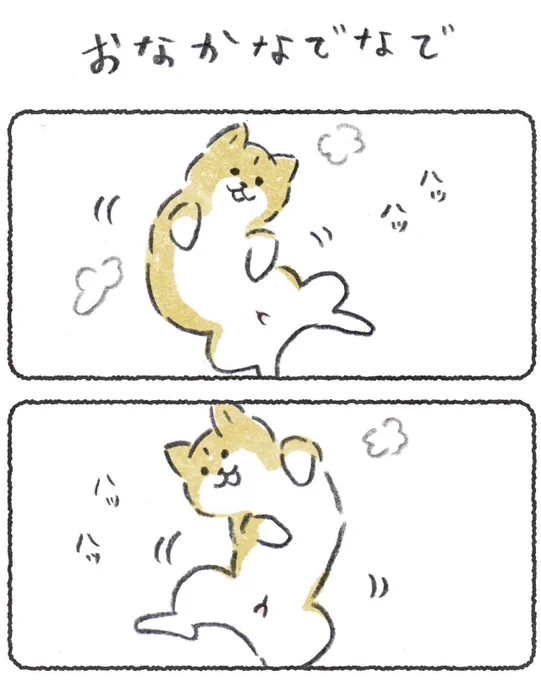 別になでてほしいわけじゃない柴犬
#豆しばこつぶ 