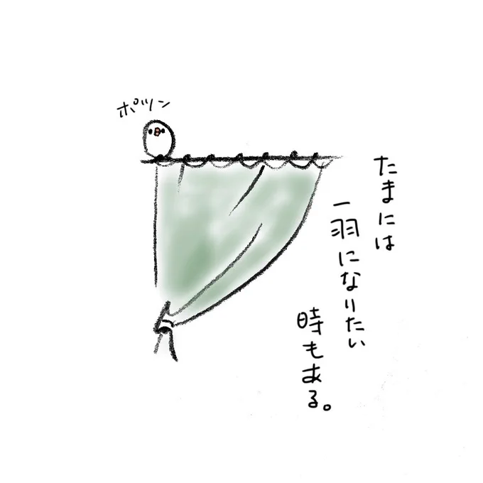 たまには1羽になりたい時もある。 