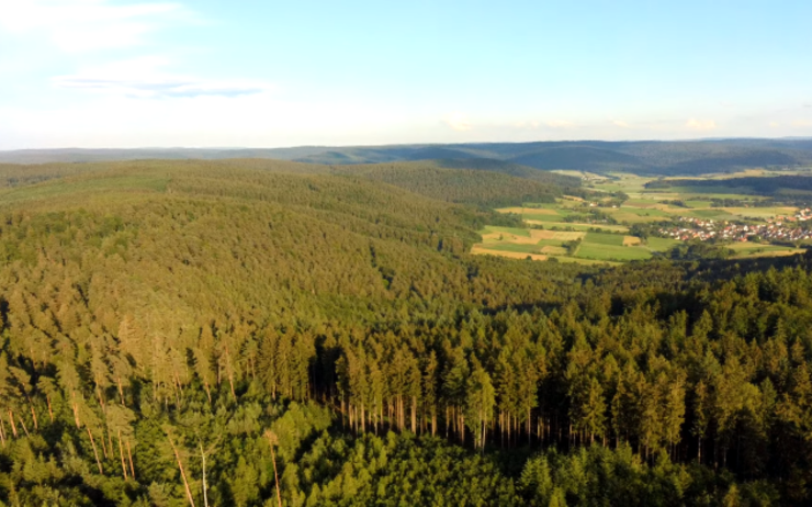 LPJHeidMann's tweet photo. « Franzosenkopf » ou « Tête de Français », késako ? https://t.co/c0Vq9BGQk7 https://t.co/fukkleaJZ4