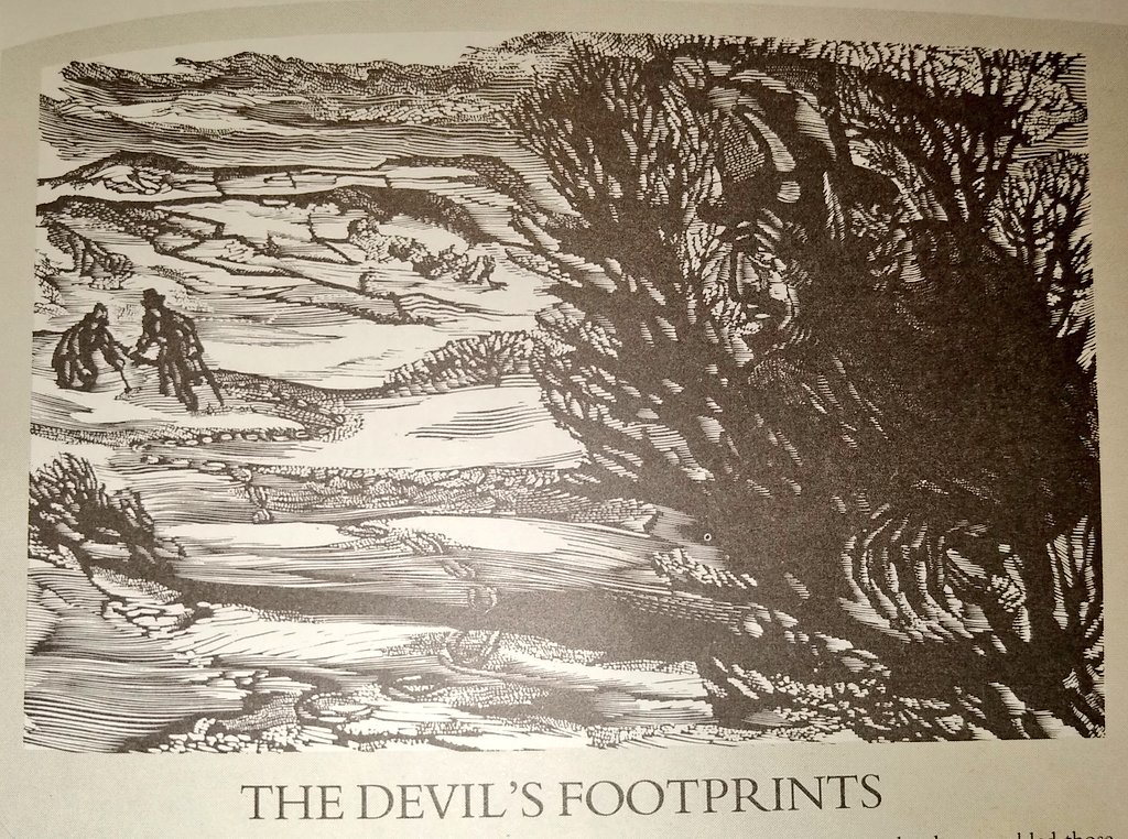 On the 9th of Feb 1855 people in  #Devon awoke to heavy snow & a trail of cloven prints that were dubbed the Devil's Footprints. They ran for 100 miles across the county, over walls, under a gooseberry bush & through narrow pipes, & are still unexplained today  #WyrdWednesday