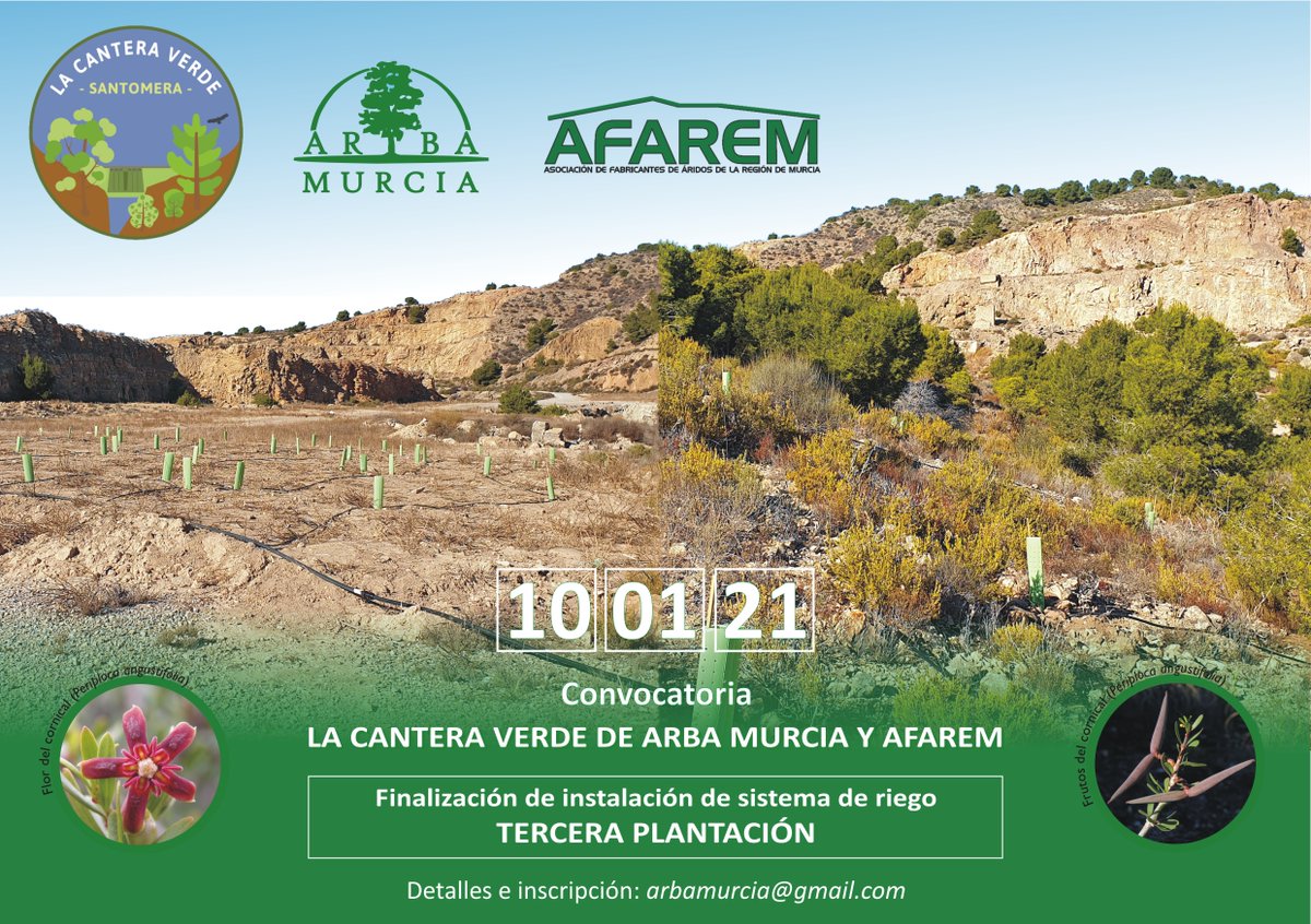 ARBAMurcia's tweet photo. ¡¡FELIZ DÍA DE REYES!!. REGÁLATE LA OPORTUNIDAD DE CUMPLIR EL SUEÑO DE PLANTAR UN ÁRBOL O REVERDER TU REGIÓN EL PRÓXIMO DOMINGO 10 DE ENERO DE 2021. 🌳https://t.co/VtODjkg6Yg https://t.co/W5UuBed9EL