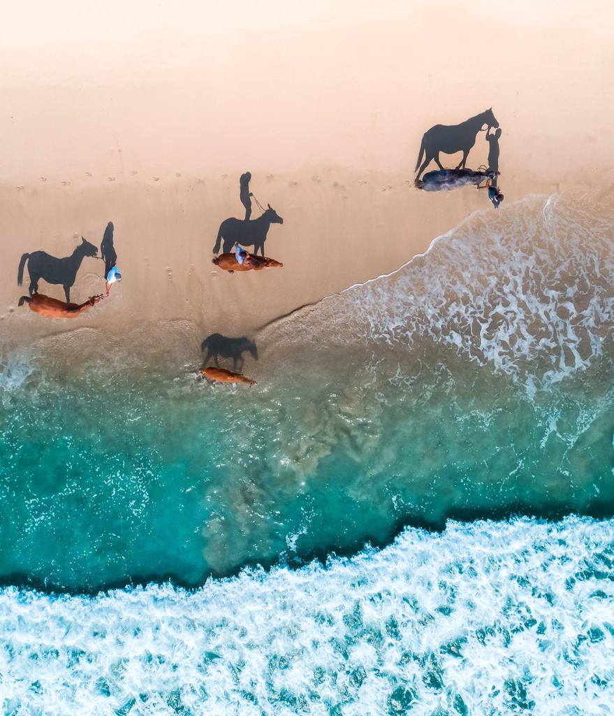 Arabbeau's tweet image. Oman