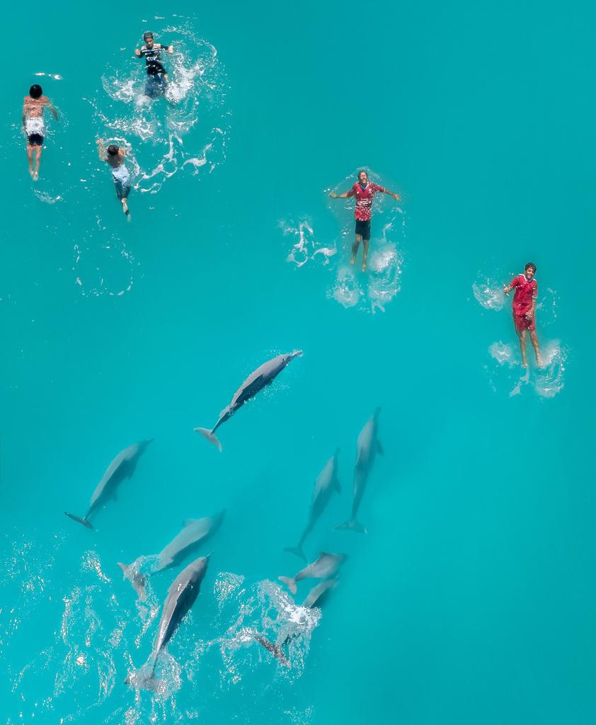 Arabbeau's tweet image. Oman