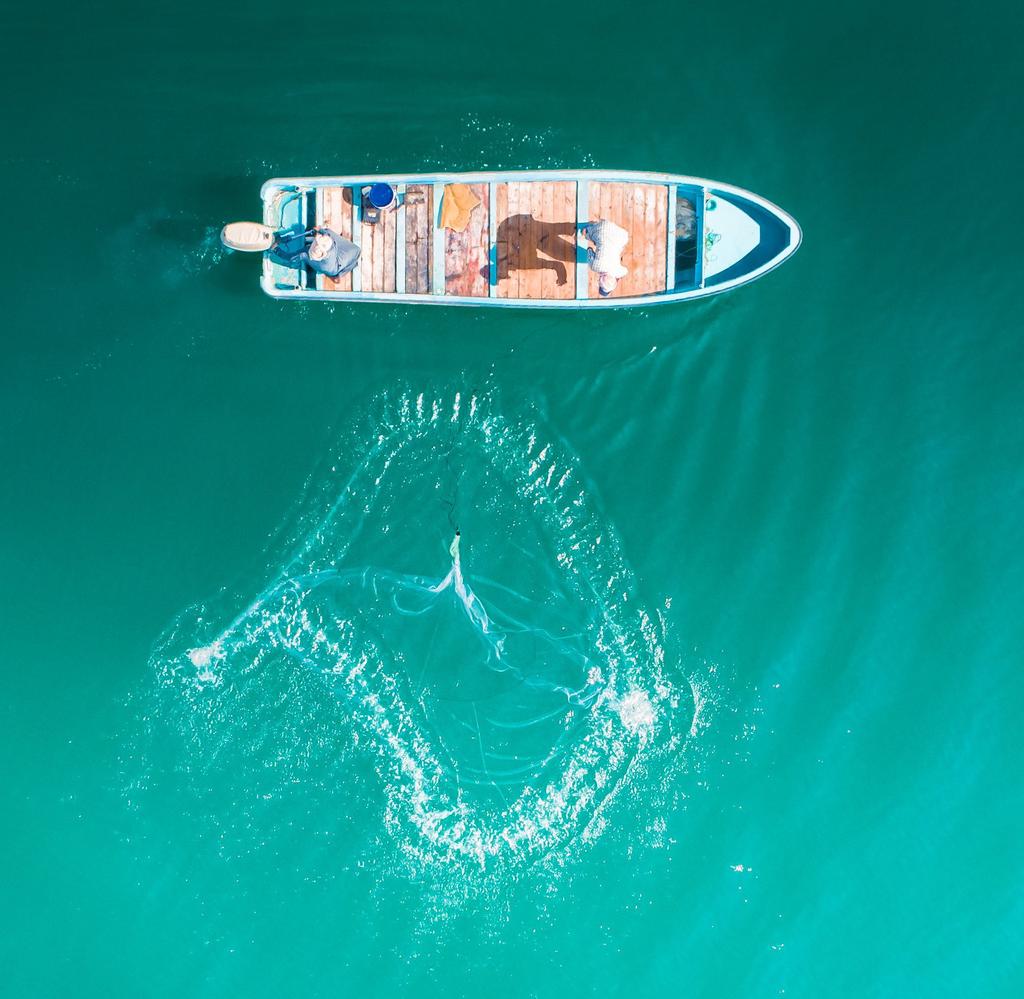 Arabbeau's tweet image. Oman