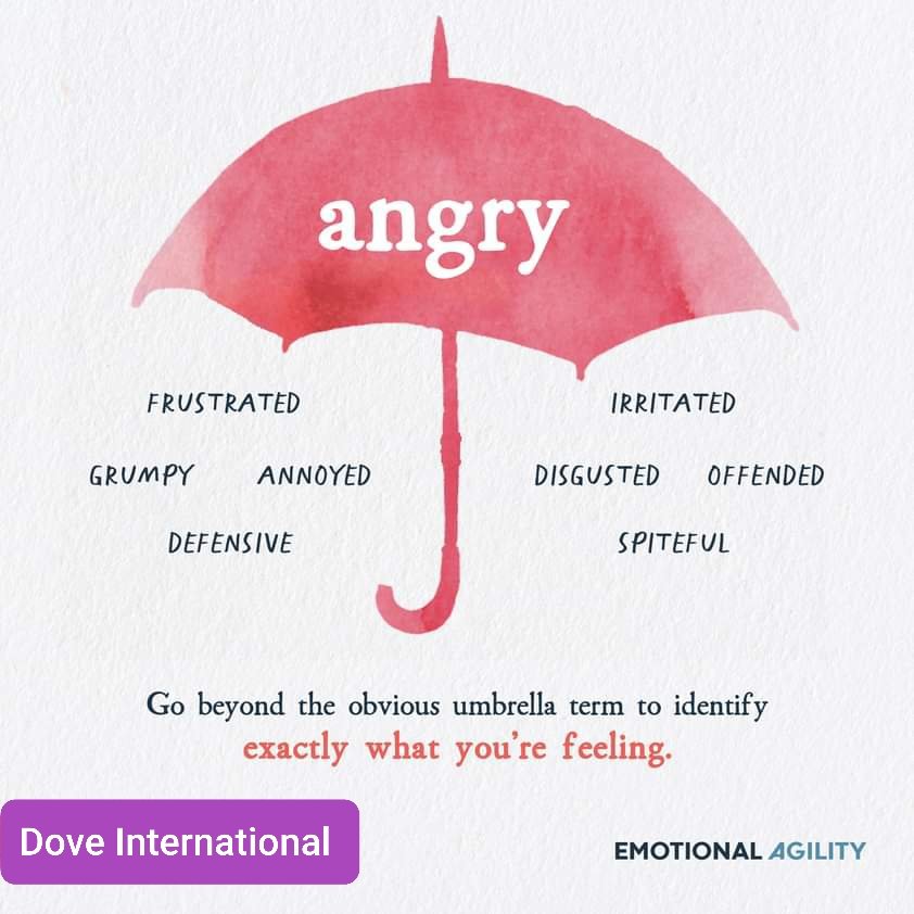 Dove_IntlClinic's tweet photo. Welcome to Dove International!

Follow | Like | Contact Us https://t.co/WkRNuzTSRj