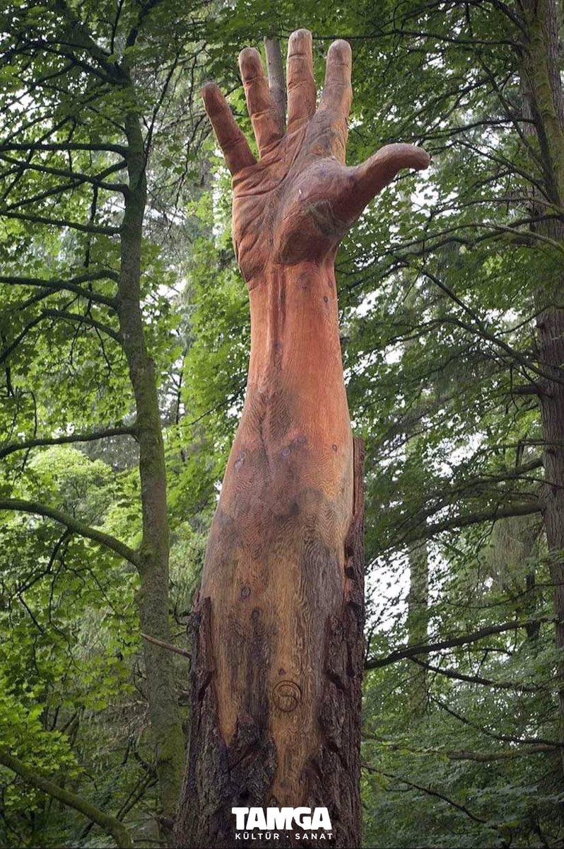 TamgaSanat's tweet photo. 🌳Sanatçı Simon James O'Rourke'un fırtınada zarar gören bir ağaç üzerinde yaptığı el çalışması. https://t.co/TVuCuuAGyY