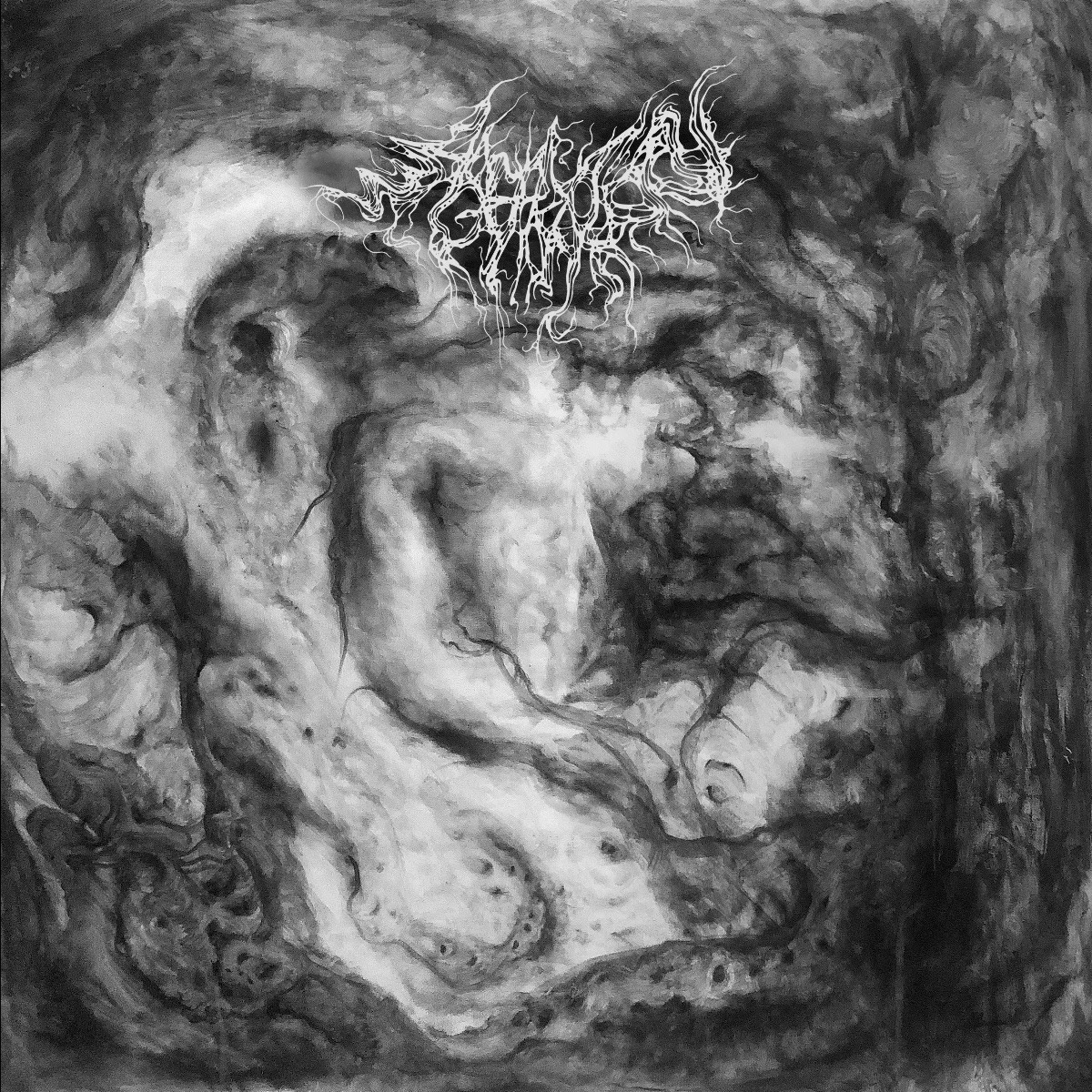 BlessedAltarZin's tweet photo. Yet another EP awaits me as my last 200 reviews have also revolved around... #Aberration 🇺🇸 "Aberration" via #SentientRuinLaboratories by @JuliaKatrine
#WeAreBlessedAltarZine #TheZineSupportingTheUnderground https://t.co/eAeVLqMeq2 https://t.co/eu9dBGPZ6e