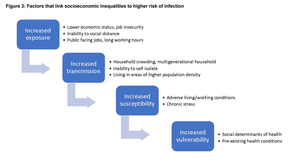 It highlighted the different ways of how inequality can increase risk.