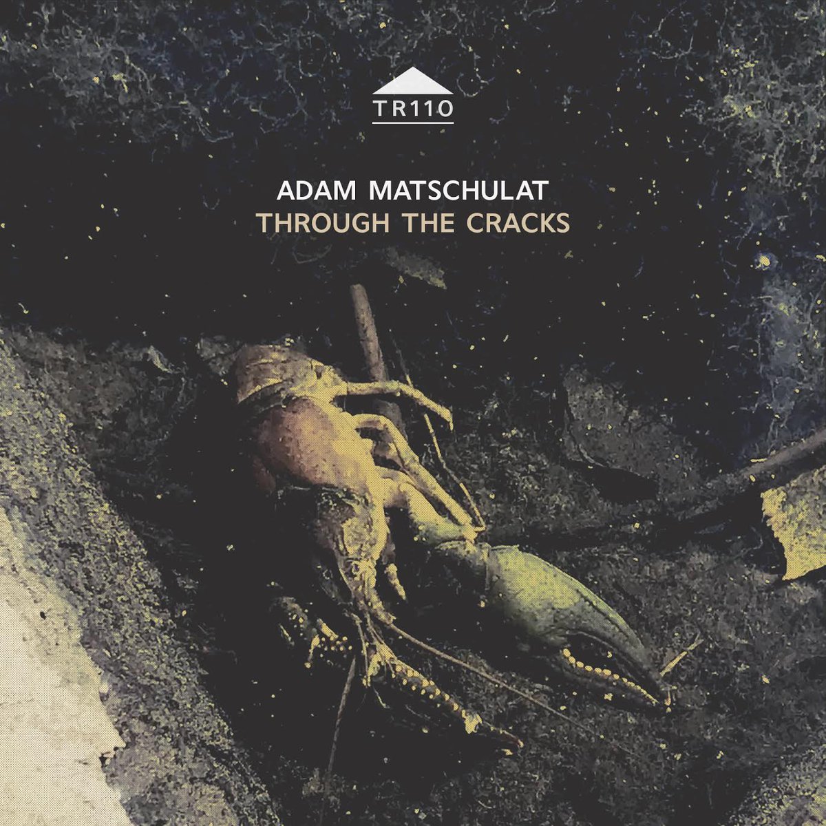 Cafeoto's tweet photo. Pleased to reveal our first two Takuroku releases of 2021. All new propulsive, intense &amp; introspective works by Blood Music and Adam Matschulat. 

Available now: https://t.co/X9ALNAhZNj https://t.co/ed3y0A0Gom