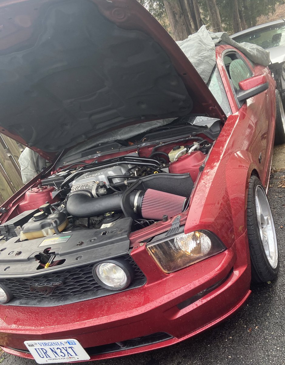 Swift0213's tweet photo. Had to get Ruby out of hibernation the other day. It was just too nice out 😈🤫 #Mustang #MustangGt #s197 https://t.co/54are5wIpr