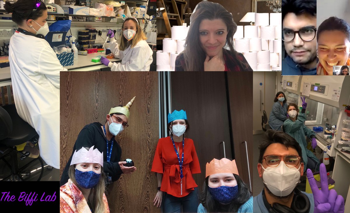 BiffiGiulia's tweet photo. Happy 1st birthday to the #BiffiLab! 
Perhaps not the easiest year, but made easier by working with my awesome students and all the peeps @CRUK_CI. 
Onward and upward!  
#LABirthday https://t.co/TcGvV0ZBsF
