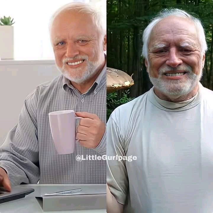 Our Meme Stars [A Thread]RT