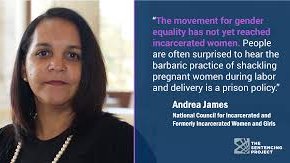 Meet Andrea James ( @andreacjames). Head of the National Council for Incarcerated & Formerly Incarcerated Women & Girls. One of the fiercest, most brilliant, principled people I've ever met. Thank you! More:  https://www.nationalcouncil.us/ 