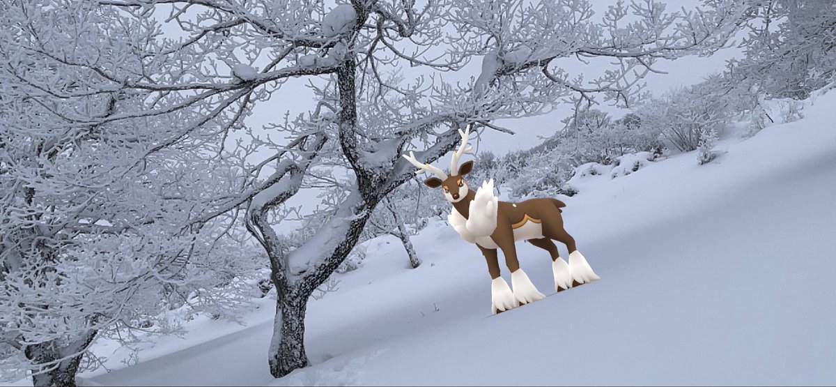 松前 東北dcサポ セレビィは初捕獲の時も室根山でしたので色違いも撮りたかった 映画見たあとなので 気持ちよく木々をすり抜けるセレビィを撮りたかった 前もそうやん Iiiwate 岩手の冬 室根山 ココ感想 ポケモン映画 T Co Yyg8512lhh