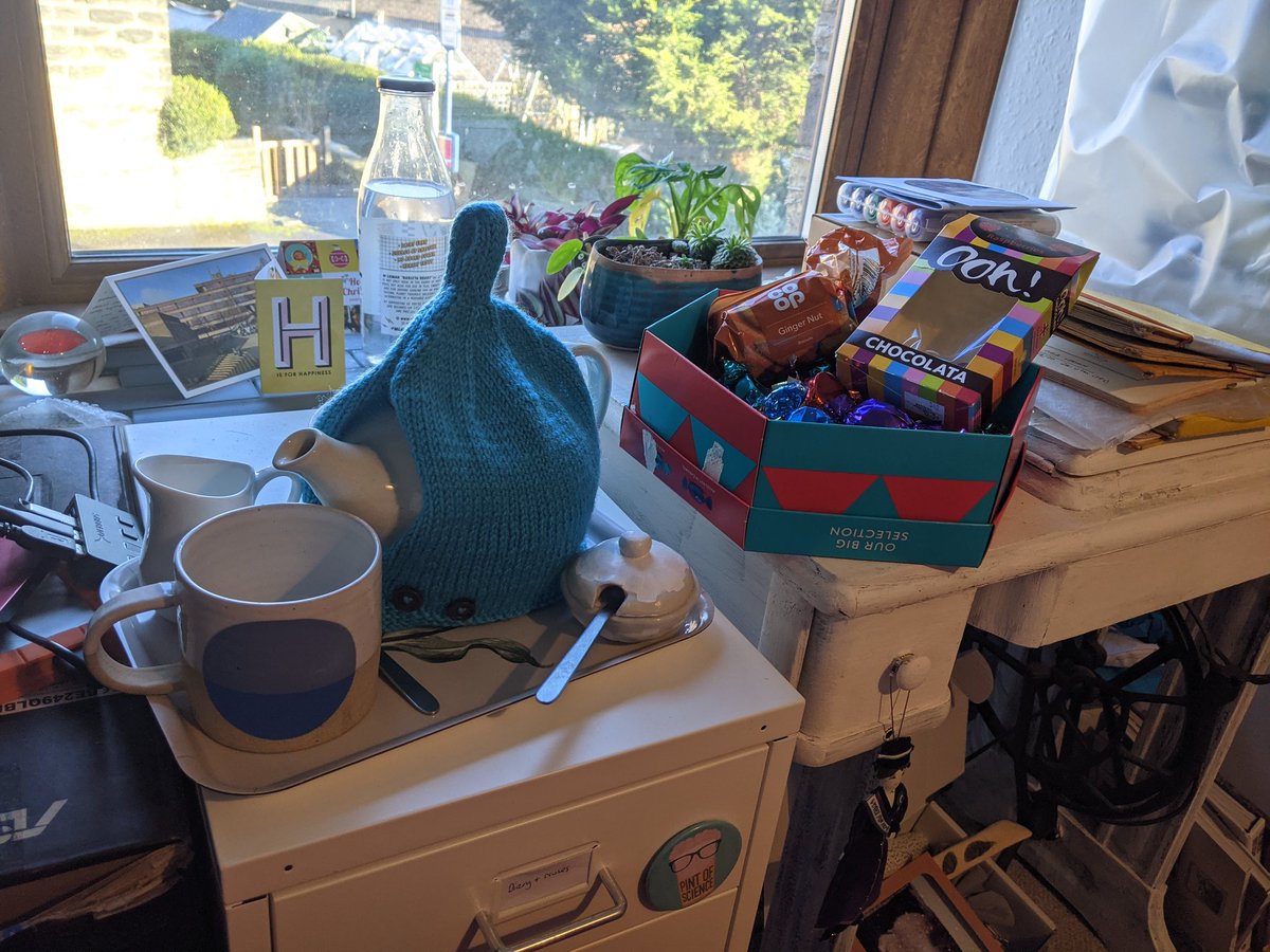 Dr Bridie Verity Davies tweet media