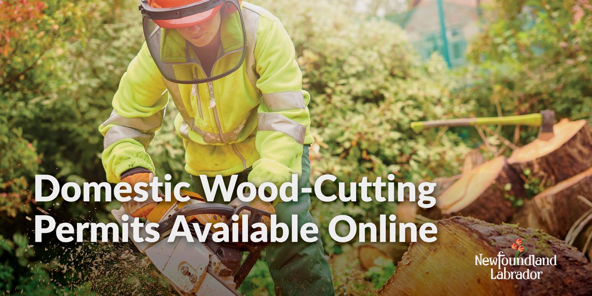 FAL_GovNL's tweet photo. Purchase or renew domestic wood-cutting permits online via MyGovNL at https://t.co/ISnfqWplCR – it’s fast & easy! For more services, contact Forestry & Wildlife Mon-Fri 8:30 a.m. – 4:30 p.m. Find us at https://t.co/xsh14z1IdM. #NLForestry #GovNL https://t.co/GUE6O0P2mQ