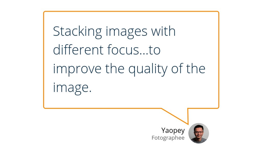 Focus Stacking: How To Create Front-To-Back Sharpness In Your Image lttr.ai/bVtA

 #Photography #FocusStacking