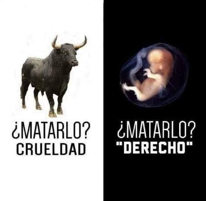 fsocdisidente's tweet photo. @todonoticias https://t.co/A7rw4arnh0