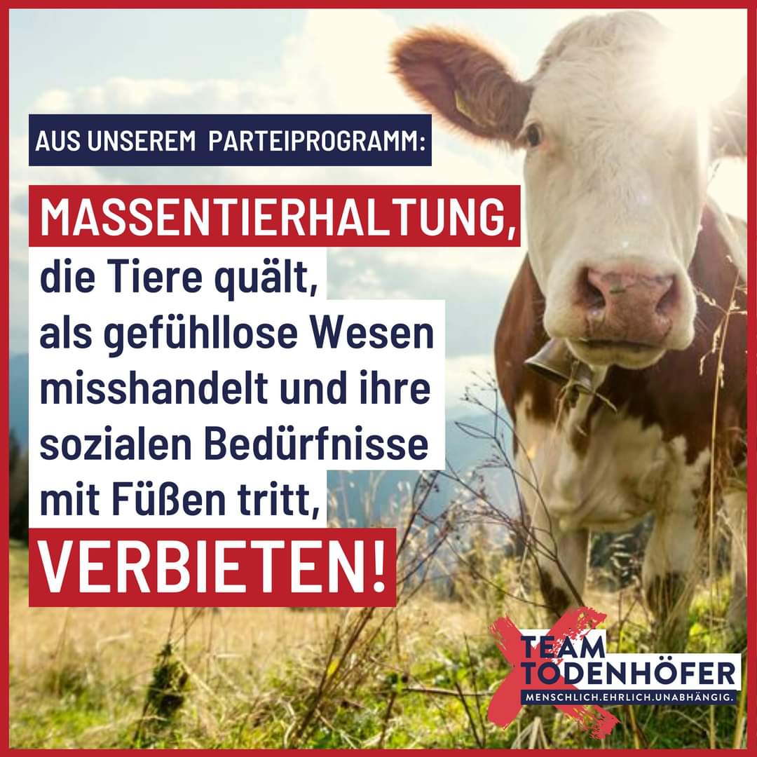 Jürgen Todenhöfer tweet media