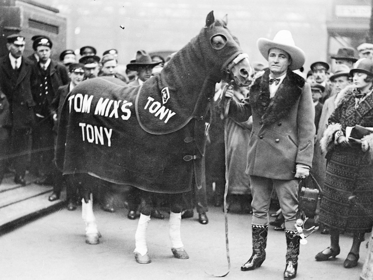 HollywoodTimeMachine tweet media