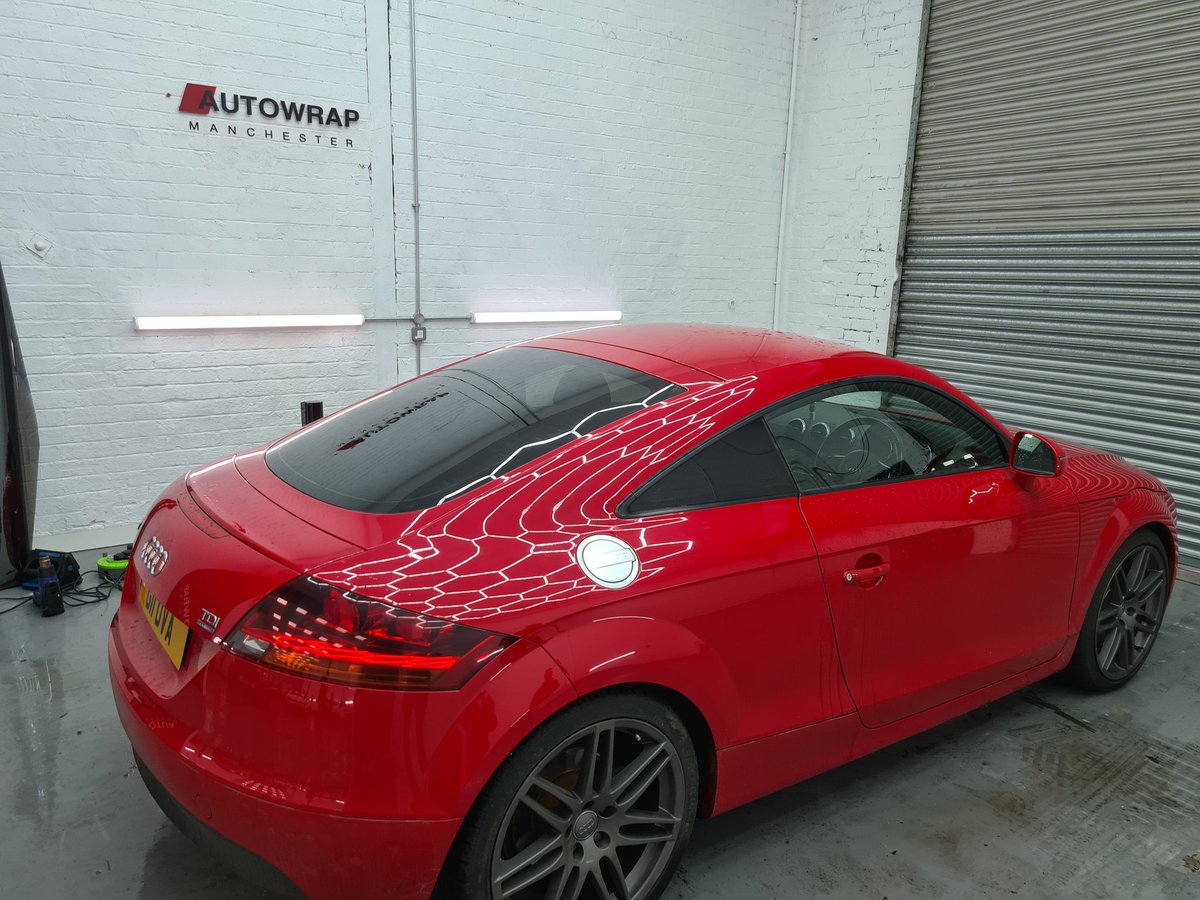 Tom Glover 🇭🇲 🇬🇧 tweet media