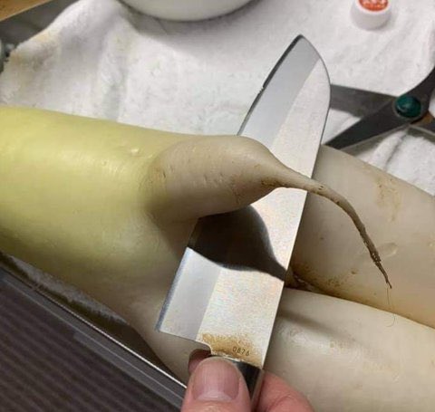 ภูมิจัยมากไหม