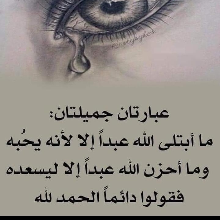 malrwyl tweet picture