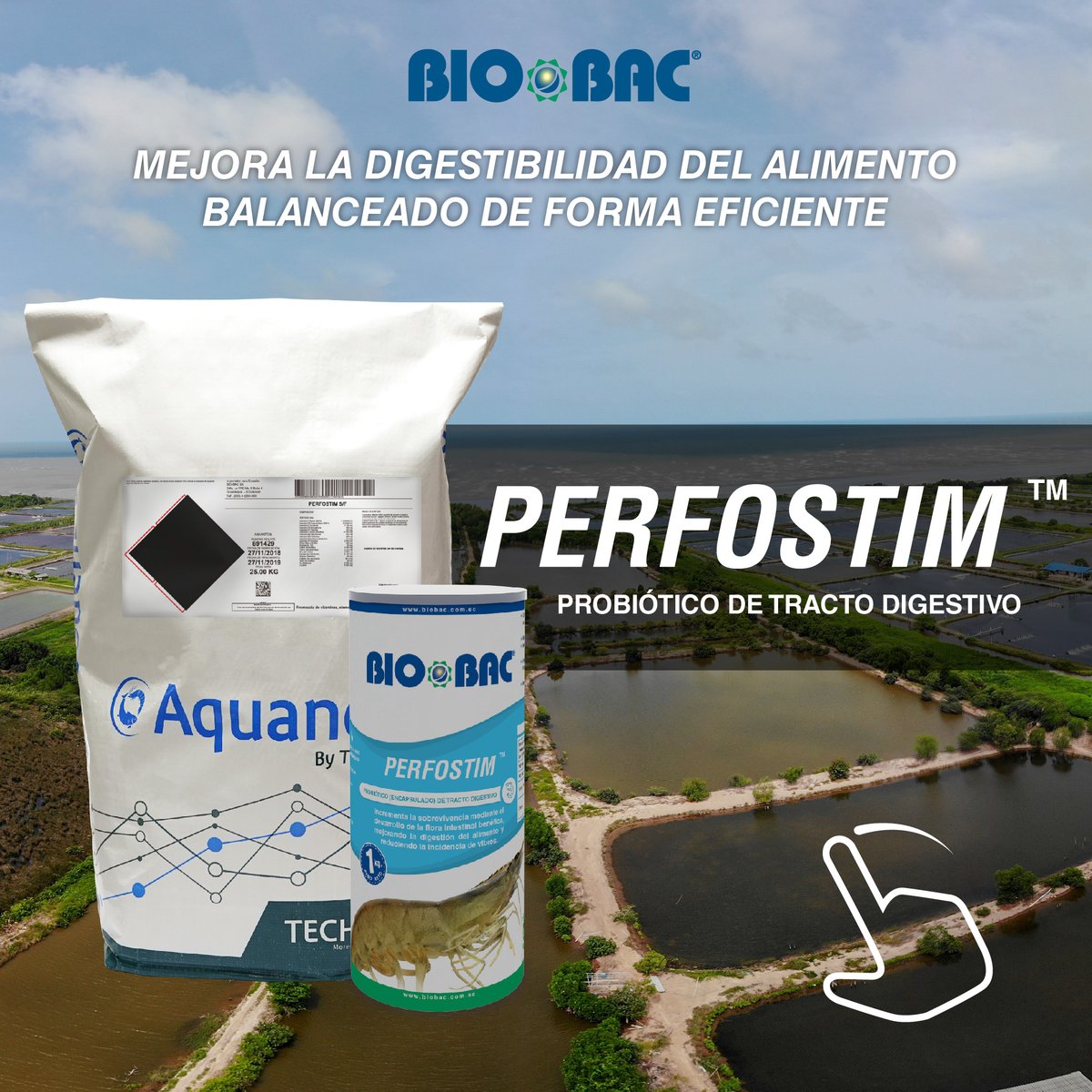 Biobacsa's tweet photo. Si quieres mejorar la digestibilidad del alimento balanceado, BIOBAC te recomienda PERFOSTIM. Un probiótico de tracto digestivo del camarón que incrementa la sobrevivencia mediante el desarrollo de la flora intestinal benéfica. 🦐👨🏻🔬👨🏻💻 https://t.co/1L9fgqzHJF