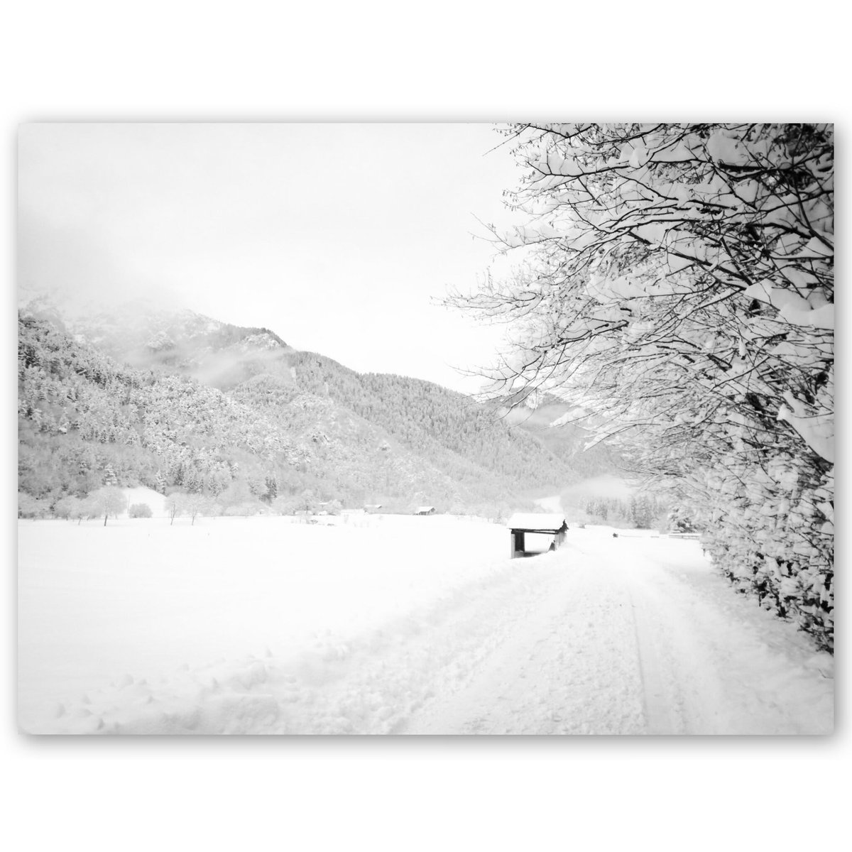 PaolaMalcotti's tweet photo. The snow. The show. - /1

#justsilence #justme #vallediLedro #Trentino https://t.co/Y0jaZ1wBX5