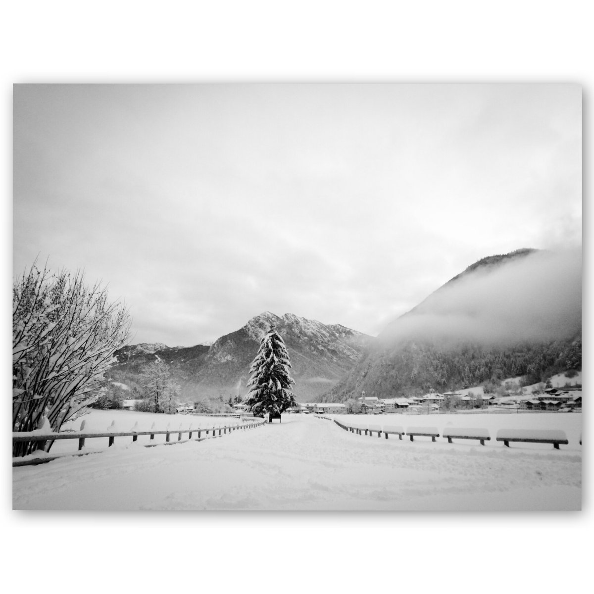 PaolaMalcotti's tweet photo. The snow. The show. - /3

#justsilence #justme #vallediLedro #Trentino https://t.co/ZgVhNa4m8g